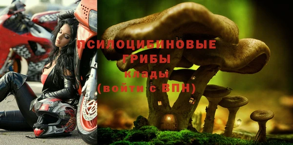 МДПВ Алексеевка