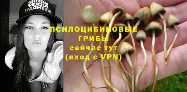 сатива Алзамай