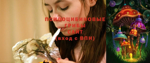 сатива Алзамай